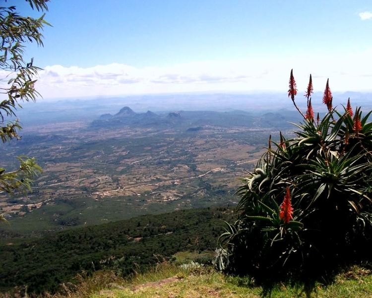 World's View at Nyanga