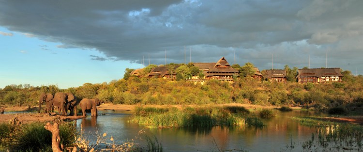 Elephants in front of the lodge at Victoria Falls